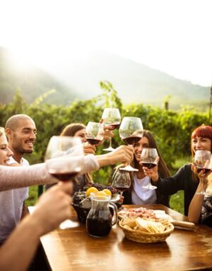 gente brindando con vino de almeria