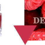 Mermelada gourmet de Almería frasco Lorusso artesanal