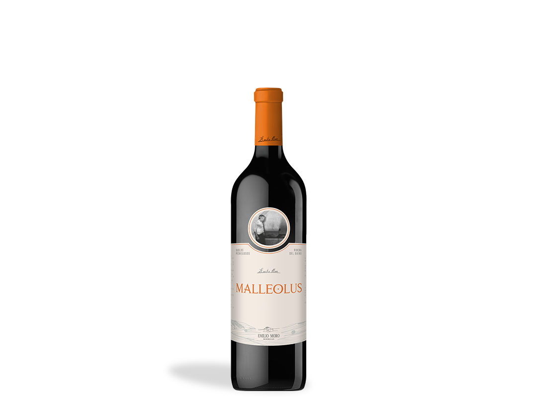 Botella de Malleolus 2023 Ribera del Duero de Bodegas Emilio Moro