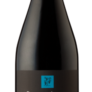 Parada de Atauta 2022 vino tinto Ribera del Duero botella 75cl
