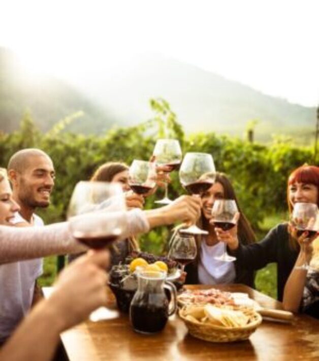 gente brindando con vino de almeria